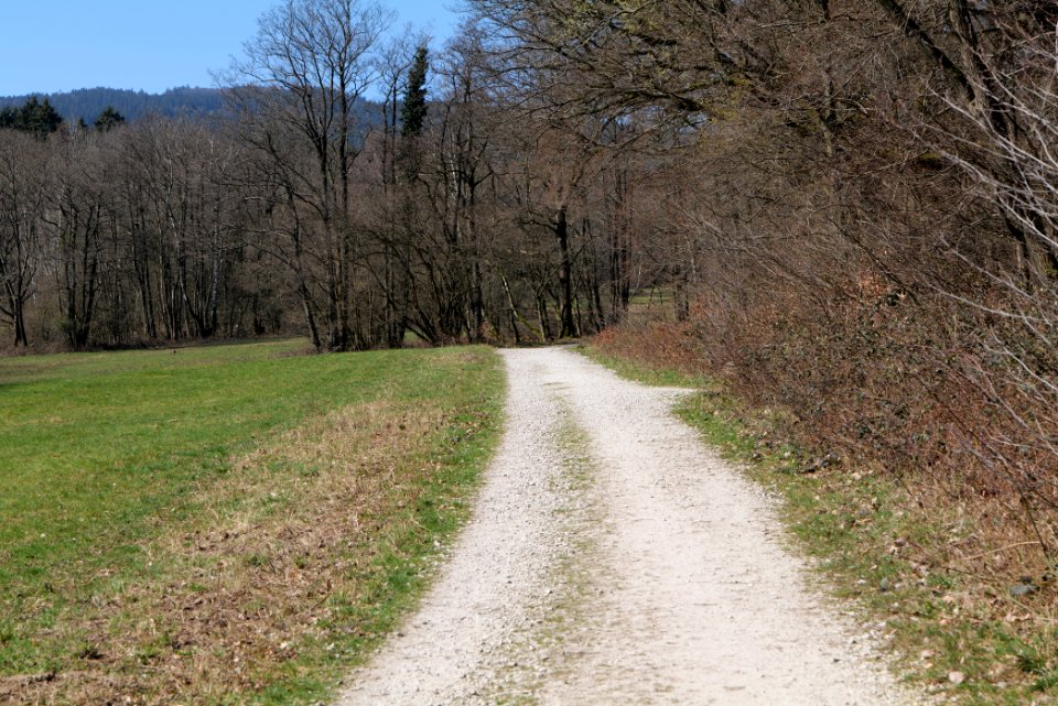 Hünerbergwiesen Oberursel 2020-03-25 11