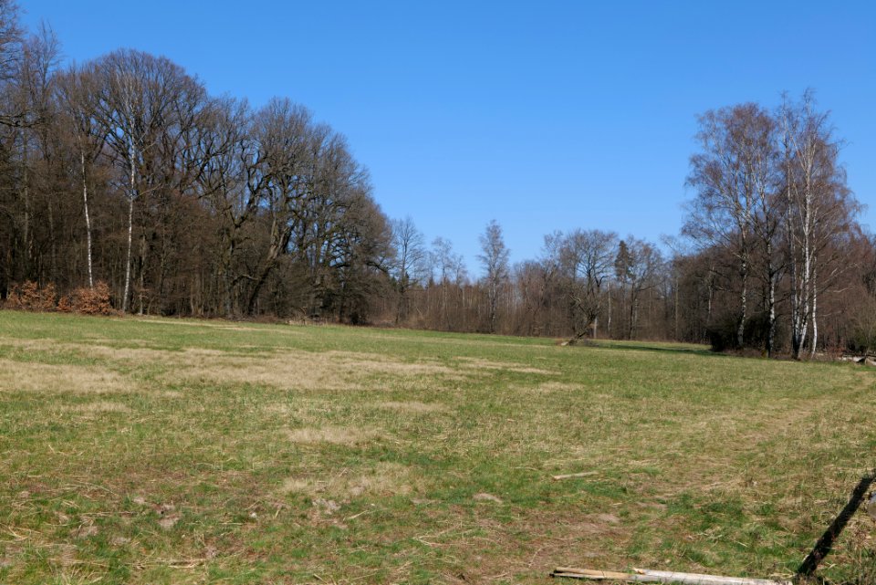 Hünerbergwiesen Oberursel 2020-03-25 33