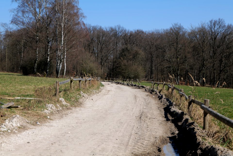 Hünerbergwiesen Oberursel 2020-03-25 30