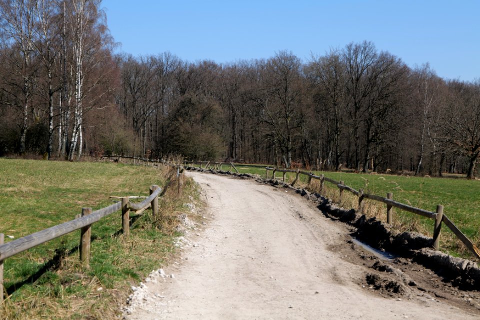 Hünerbergwiesen Oberursel 2020-03-25 37