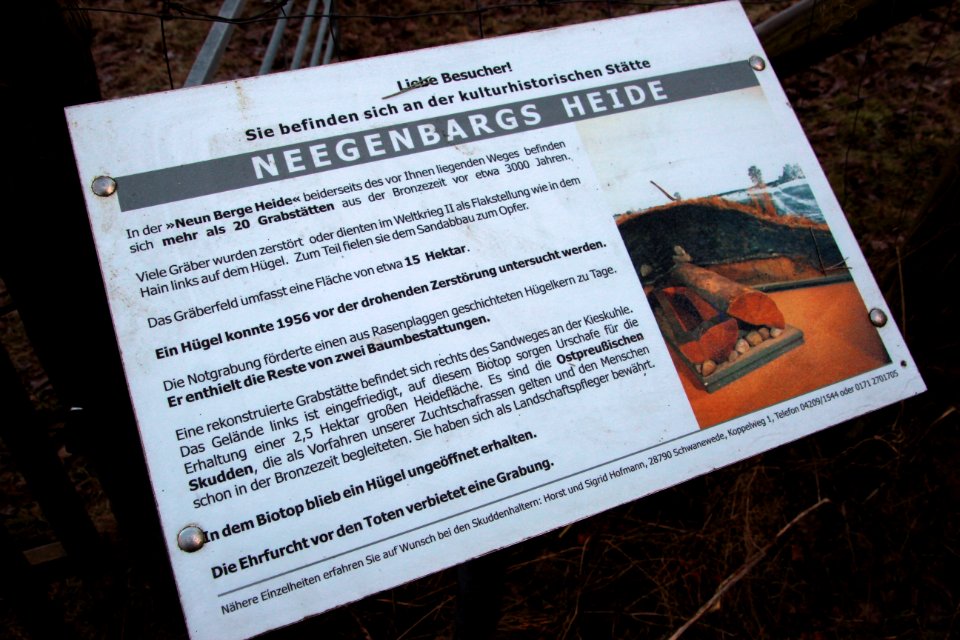 Hügelgräber in der Neegenbargsheide - Infoschild