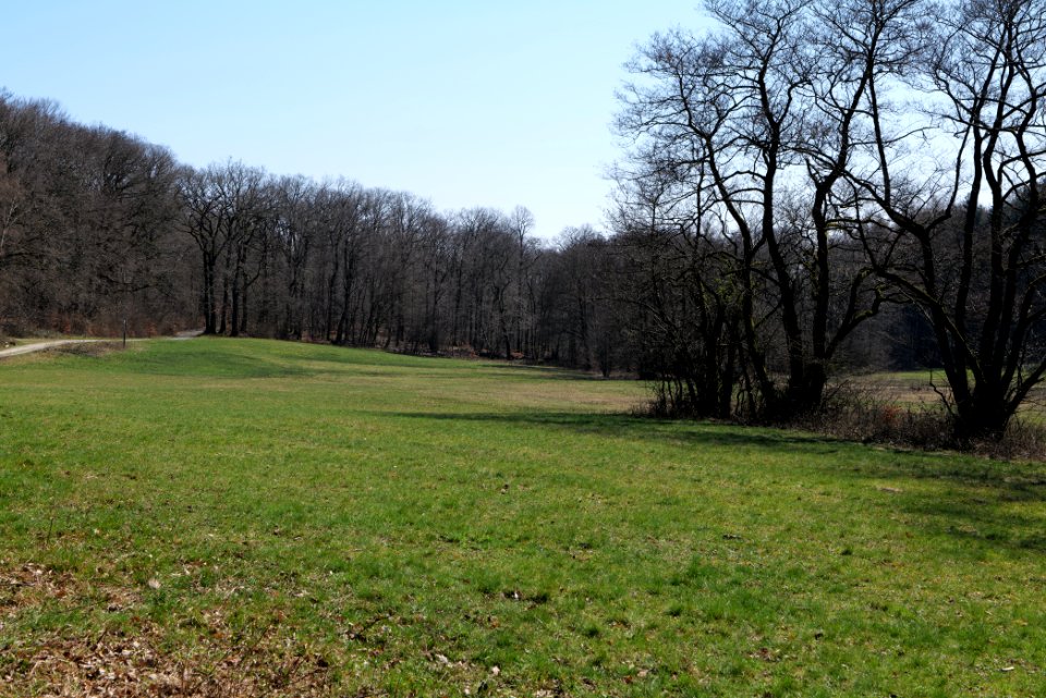 Hünerbergwiesen Oberursel 2020-03-25 12