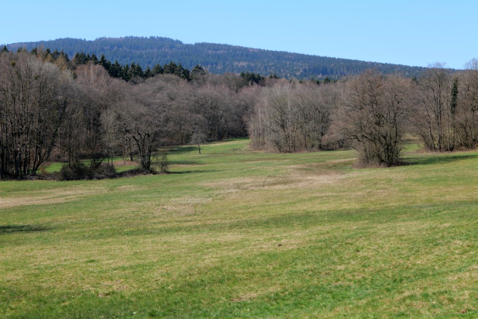 Hünerbergwiesen Oberursel 2020-03-25 04
