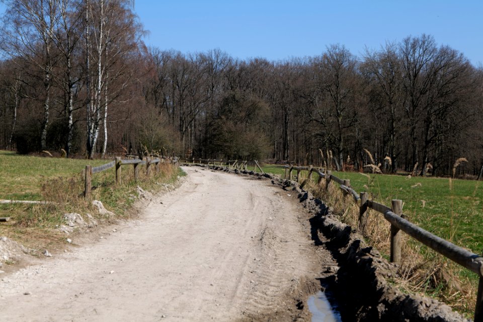 Hünerbergwiesen Oberursel 2020-03-25 31