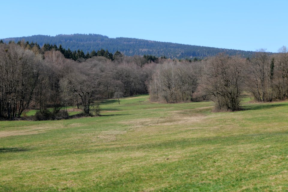 Hünerbergwiesen Oberursel 2020-03-25 03