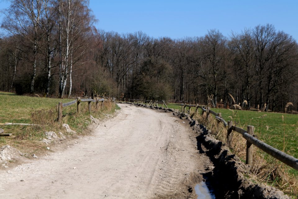 Hünerbergwiesen Oberursel 2020-03-25 32