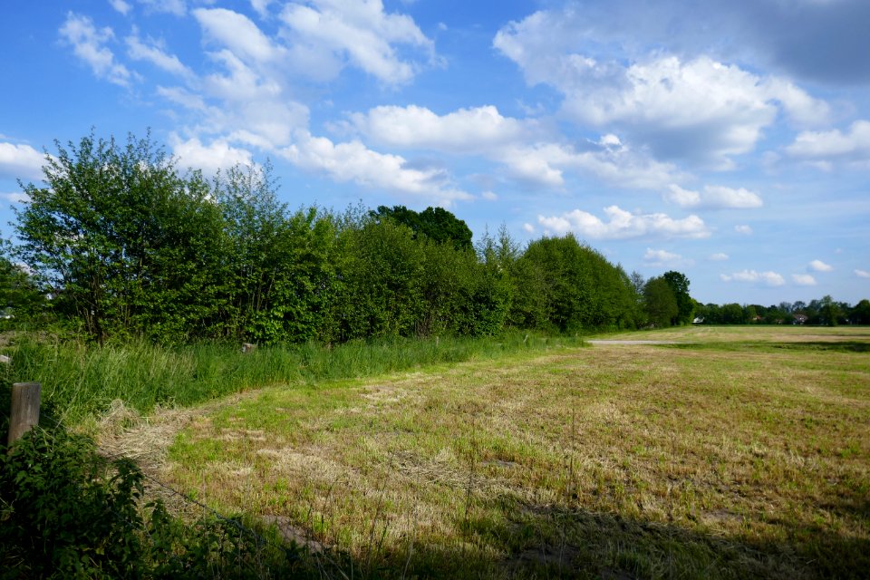Hövelhof - gLB Hecke zwischen Delbrücker Straße und Im Bruch