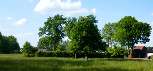 Hövelhof - gLB Eichenbaumgruppe auf dem Hof Delbrücker Straße 40,42