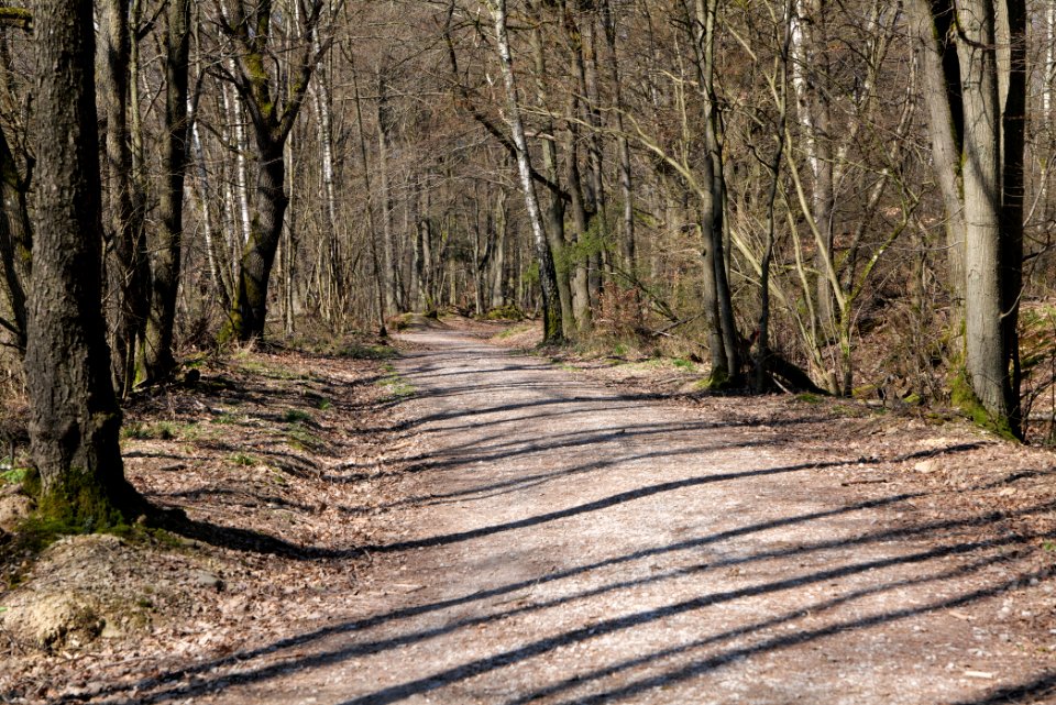 Hünerbergwiesen Oberursel 2020-03-25 17