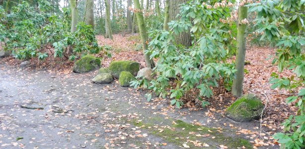 Hövelhof - Findlinge Ramselhof - 1