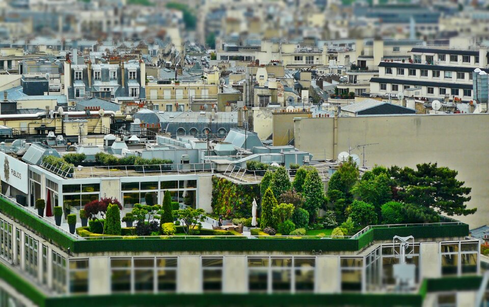 Paris roofs building
