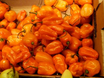 Habaneros in a box