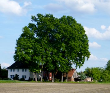Hövelhof - gLB Eichenbaumgruppe am Hof Delbrücker Straße 11