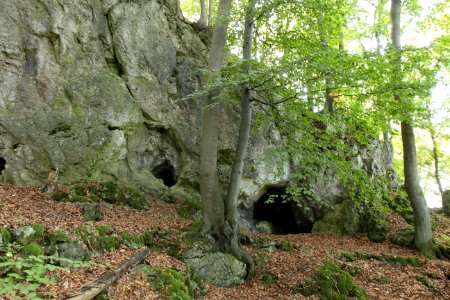 Höhle am Buchenberg (H 44) 03