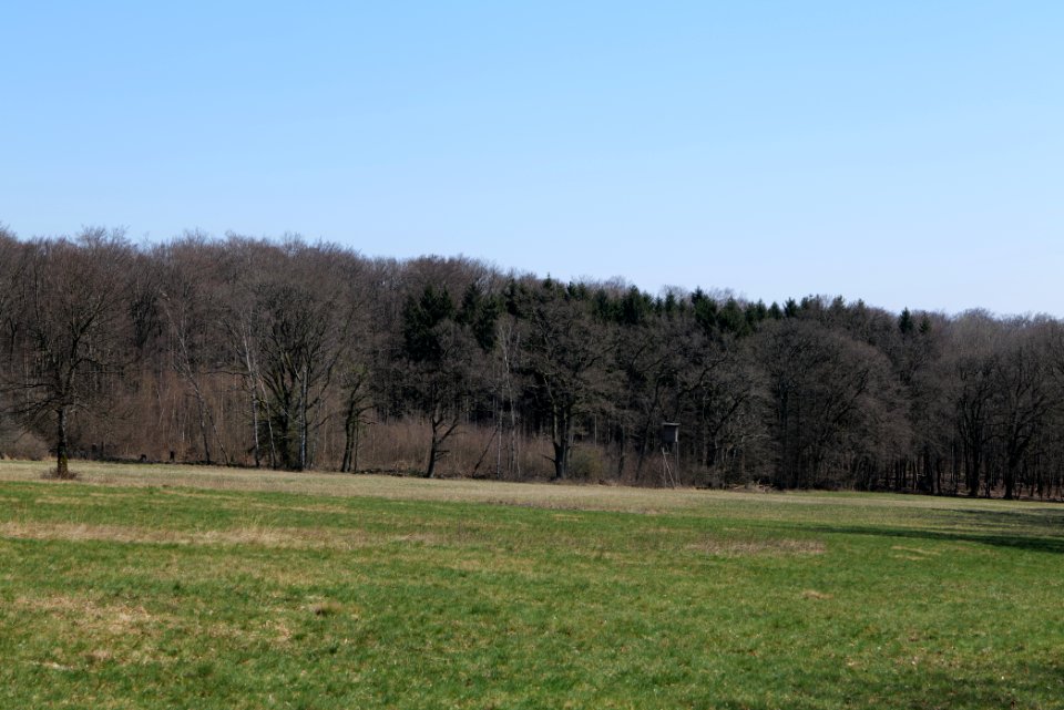Hünerbergwiesen Oberursel 2020-03-25 28