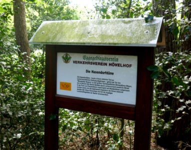 Hövelhof - Hasendorfdüne - 5