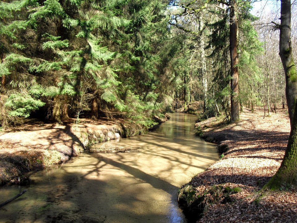 Hövelhof - Ems Junkernallee - 1