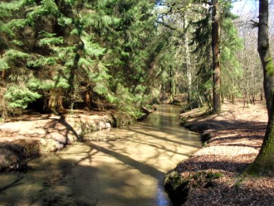 Hövelhof - Ems Junkernallee - 1