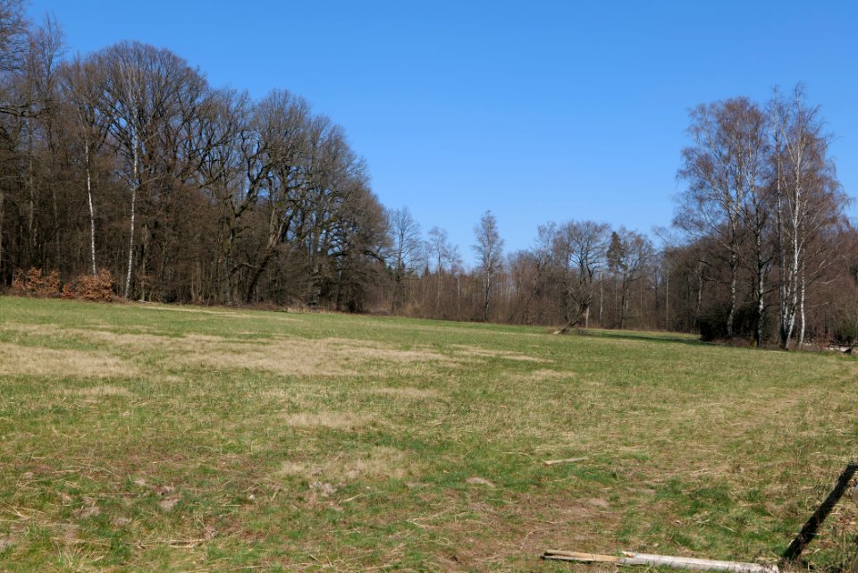 Hünerbergwiesen Oberursel 2020-03-25 34