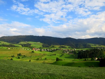 Hütten ZH mit Höhrohnen