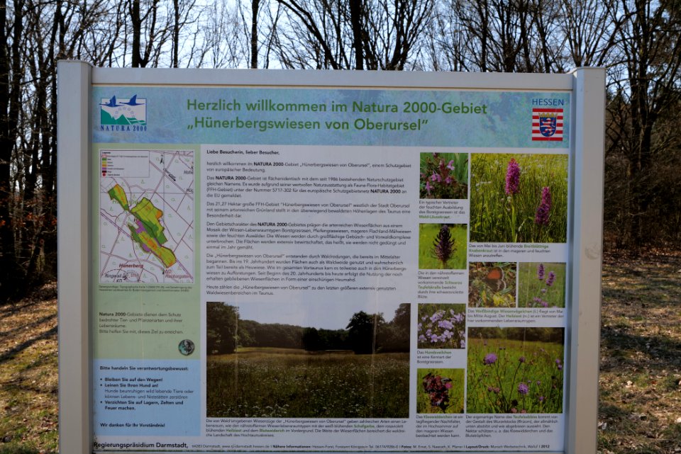 Hünerbergwiesen Oberursel 2020-03-25 36
