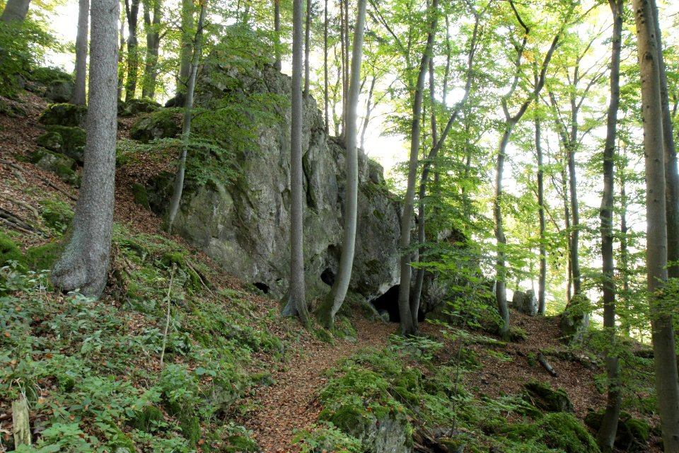 Höhle am Buchenberg (H 44) 02