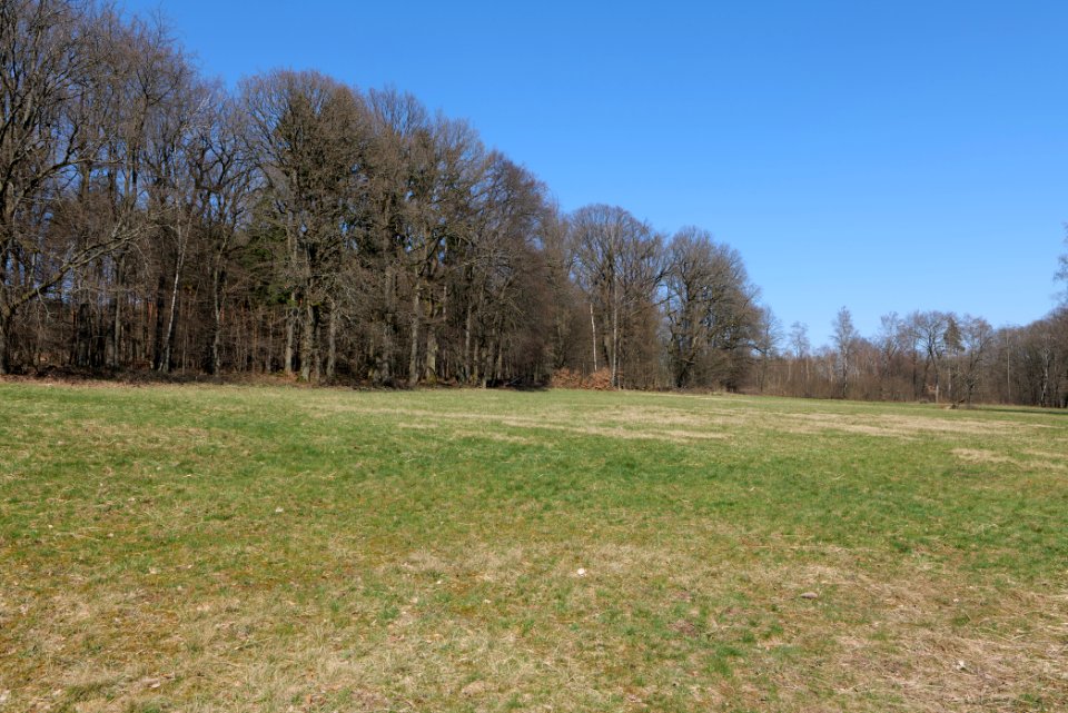 Hünerbergwiesen Oberursel 2020-03-25 38