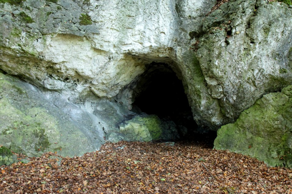 Höhle am Buchenberg (H 44) 04