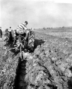 H. Ardon uit Kloetinge (Zeeland) in actie, Bestanddeelnr 918-3624