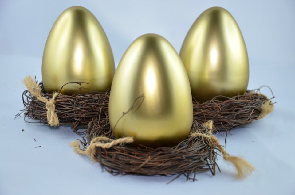 Nest easter egg shiny