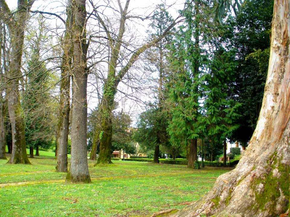 Guernica - Parque de los Pueblos de Europa 02