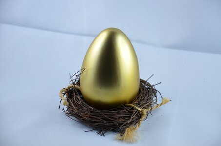Easter easter egg eggs nest photo