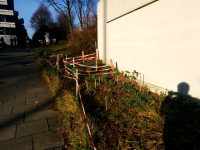 Guerilla gardening hamburg