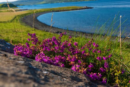 Highlands island isle of skye photo