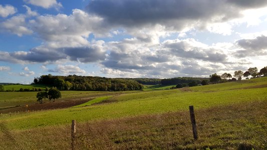 Gulpen-Dunnenbos + Wagelerbos (9)