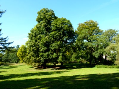 Gulpen-Kasteel Neubourg (61)