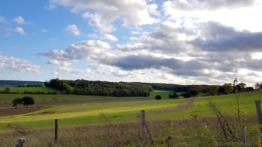 Gulpen-Dunnenbos + Wagelerbos (4)