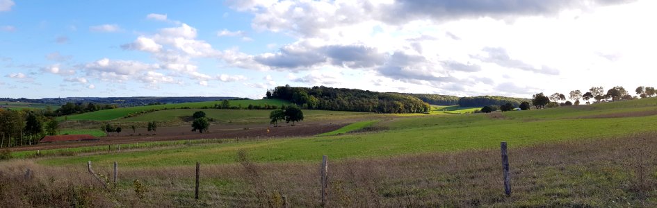 Gulpen-Dunnenbos + Wagelerbos (8)