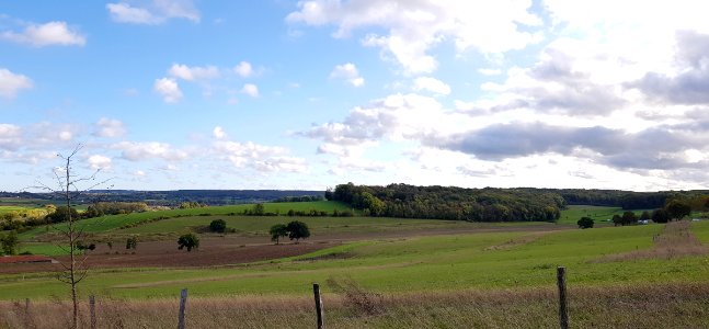 Gulpen-Dunnenbos (4)
