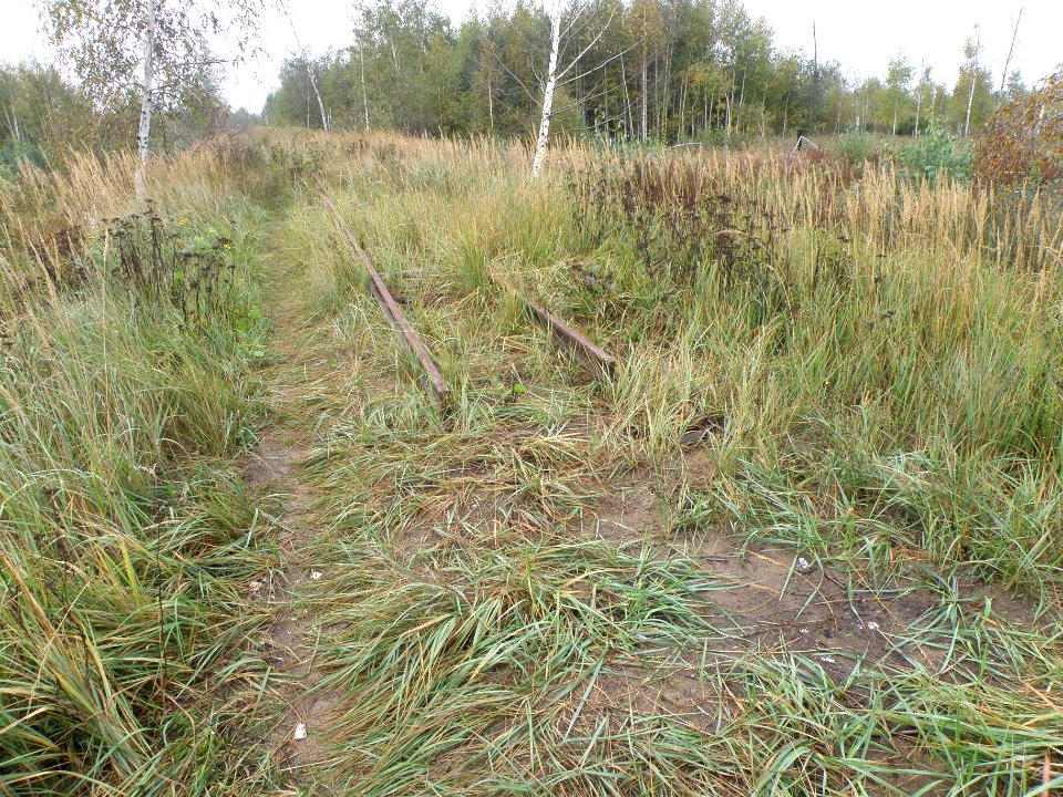 Gusevsky peat mine railway