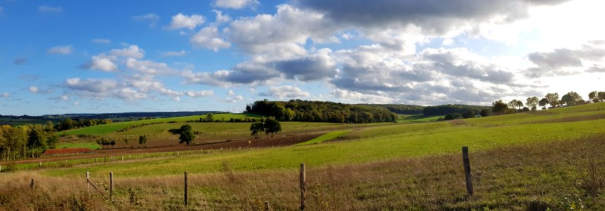 Gulpen-Dunnenbos + Wagelerbos (10)