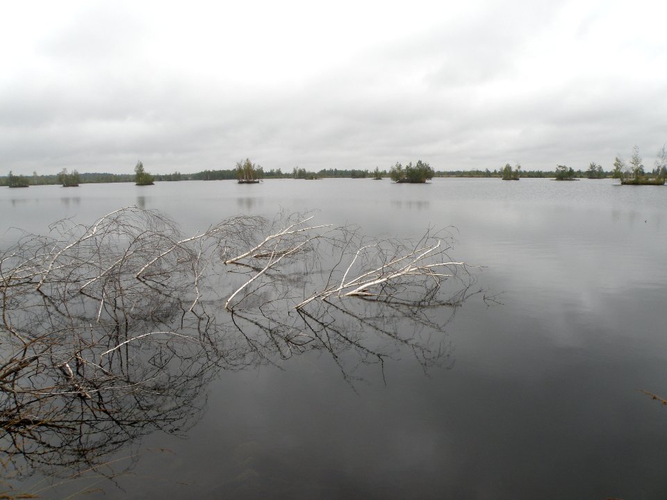 Gusevskoe peat enterprise