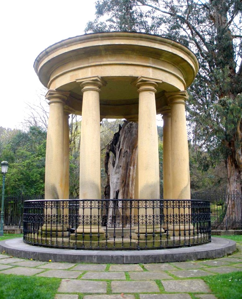 Guernica - Casa de Juntas, Arbol Viejo 2