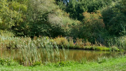 GusenburgNaturschutzgebietEiderbruchH6a
