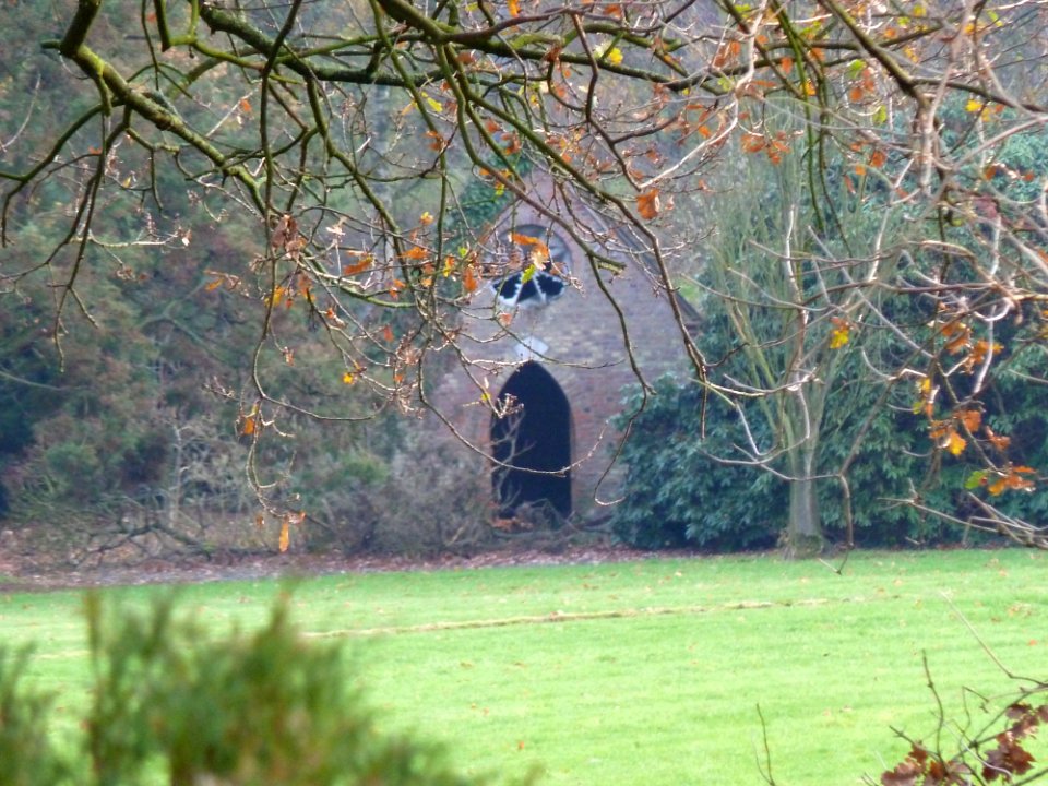 Gulpen-Kasteel Neubourg (33)