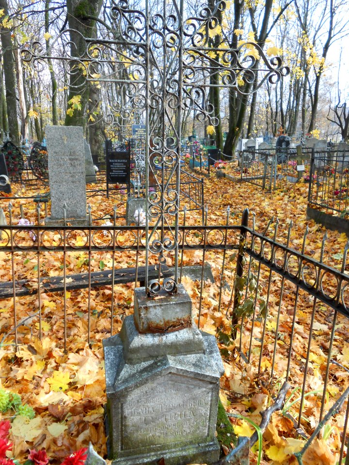 Gurievskoye cemetery 17