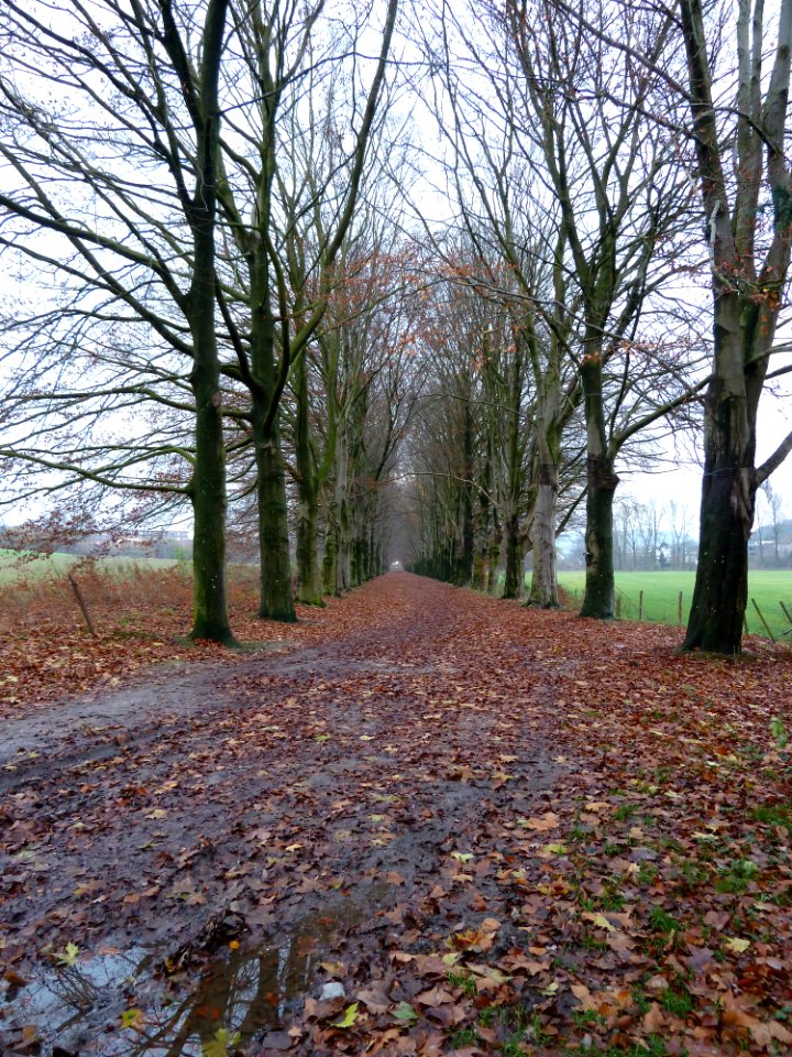 Gulpen-Kasteel Neubourg (36)