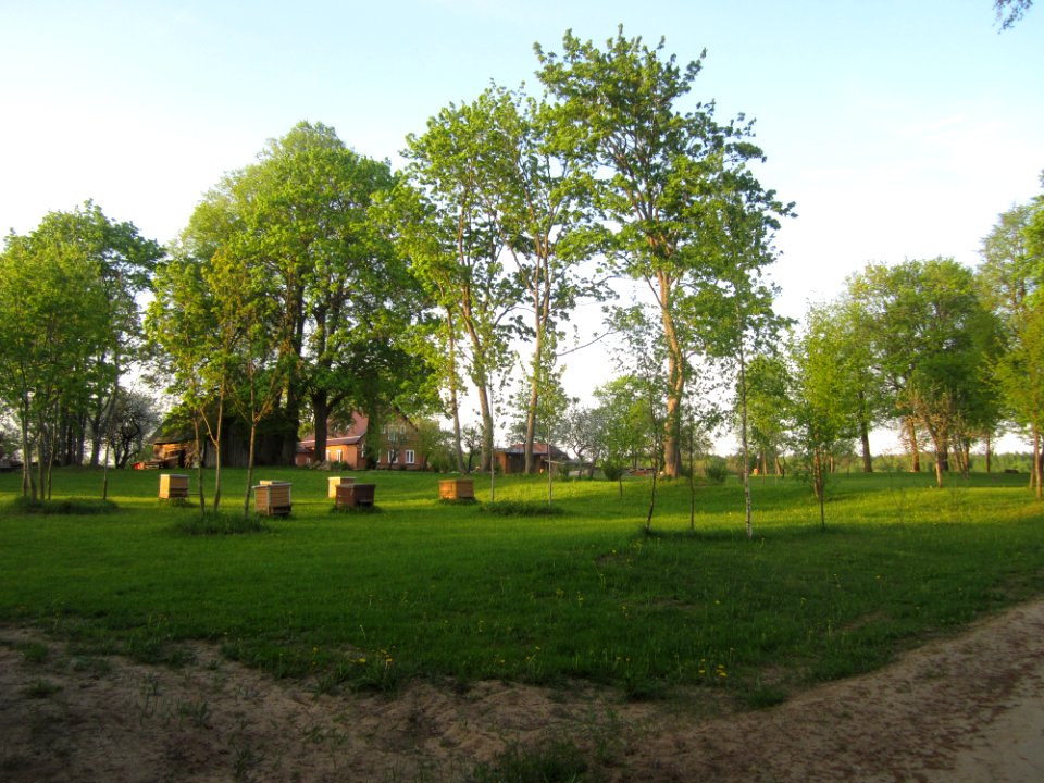 Grybiškės (Zarasai)