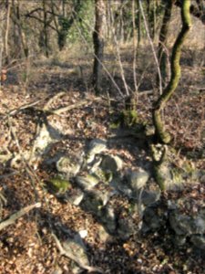 Gruonsberg 5