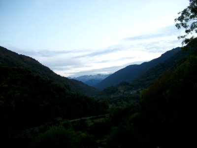 Guran 38